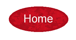 Home button